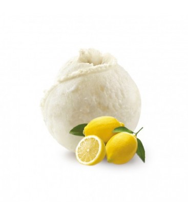 bac de glace artisanale à emporter 750 ml citron