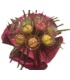 Bouquet de 15 macarons couleurs et parfums assortis